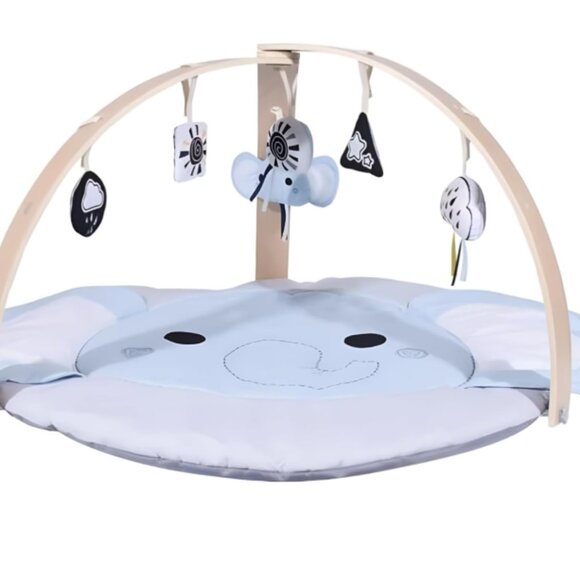 Baby Play Gym Mat Tummy Time Activity Mat with 5 Sensory Toys - Picture 1 of 3